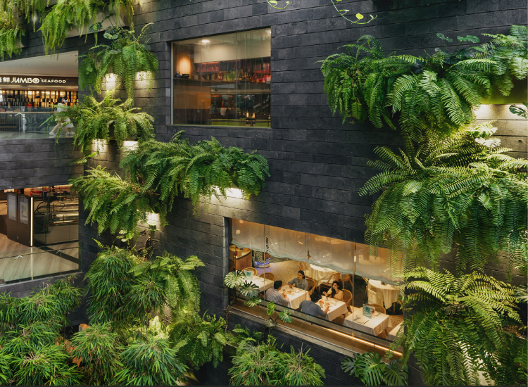 Khu rừng nhiệt đới Forest Valley bên trong Jewel Changi Singapore